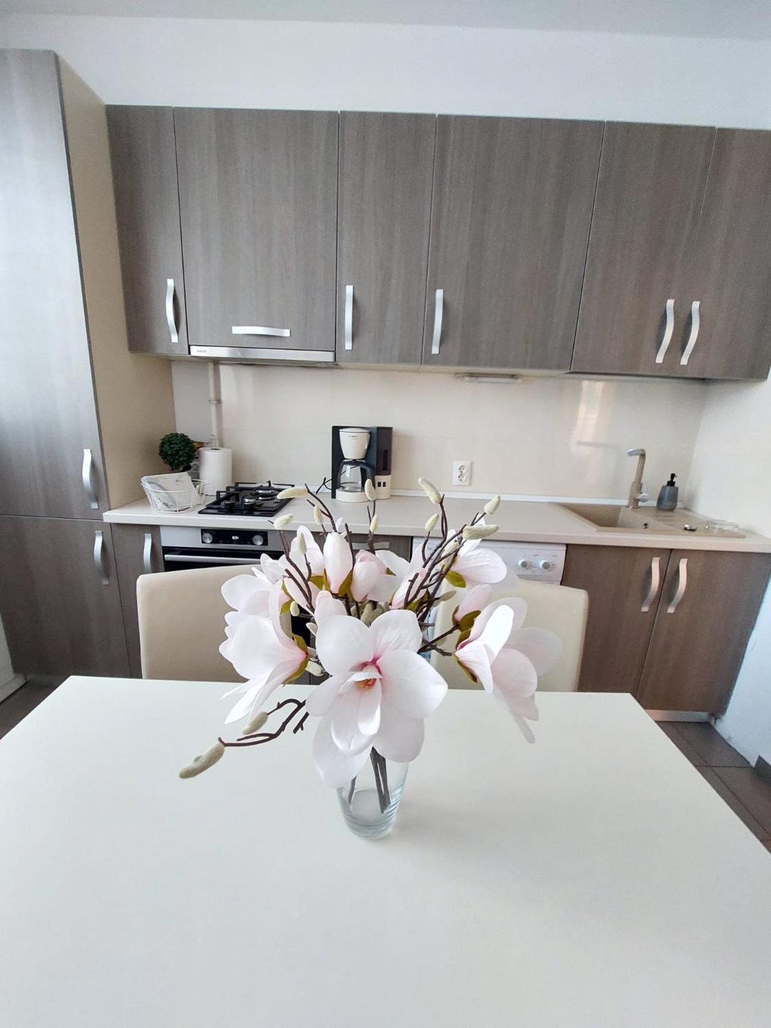 Sweet Residence Apartment Αράντ Εξωτερικό φωτογραφία
